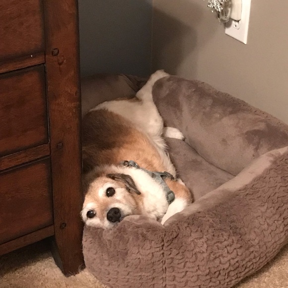 Meet your Posher, Kim - Picture 3 of 4